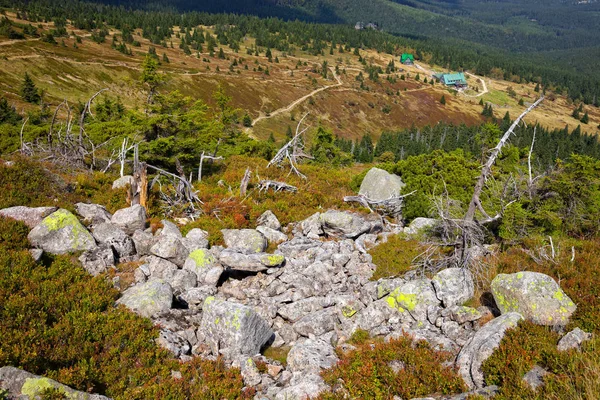 Fjellsti i Karkonosze – stockfoto