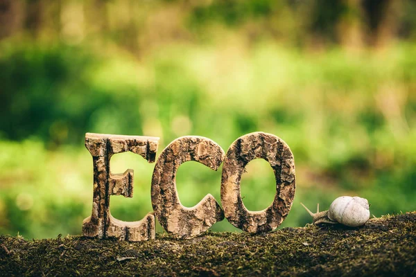 Eco Writing Made Wooden Letters Snail Standing Trunk — Stock Photo, Image