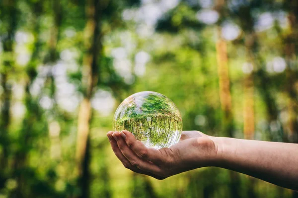 Glass Sphere Female Hand Reflecting Forest — Stock Photo, Image