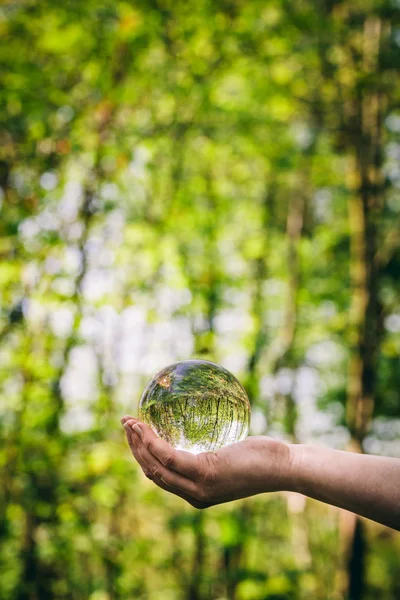 Női Kéz Tükröző Erdő Üveg Gömb — Stock Fotó