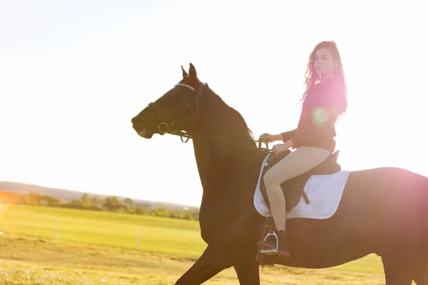 Giovane Ragazza Cavalcando Cavallo Scuro Sul Campo Tramonto — Foto Stock