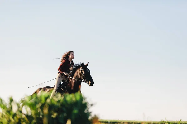 Νεαρό Κορίτσι Ιππασία Σκοτεινό Άλογο Στο Πεδίο Στο Ηλιοβασίλεμα — Φωτογραφία Αρχείου