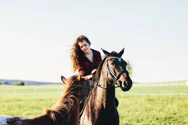 Menina Sentada Cavalo Outro Cavalo Aproximando Dela — Fotografia de Stock