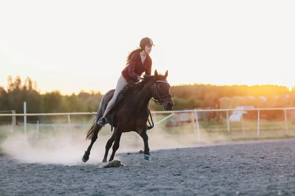 Giovane Jockette Casco Cavallo Durante Tramonto Equitazione — Foto Stock