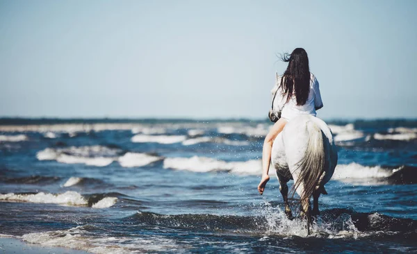 Visão Traseira Menina Montando Cavalo Branco Mar — Fotografia de Stock