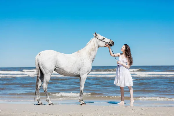 Young Girl Standing Beach Touching White Horses Head — Stock Photo, Image