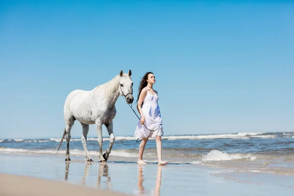 Menina Jovem Vestido Branco Andando Com Cavalo Branco Praia — Fotografia de Stock