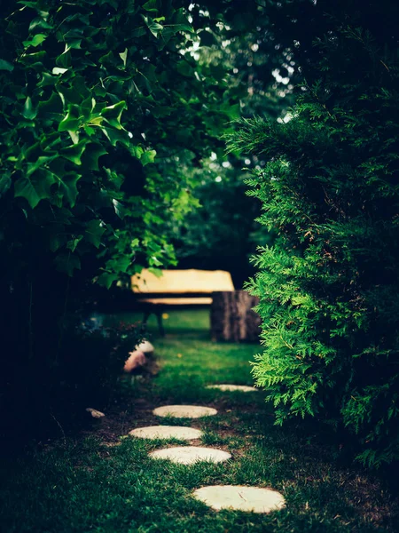 Brick Path Garden Leading Wooden Bench — Stock Photo, Image