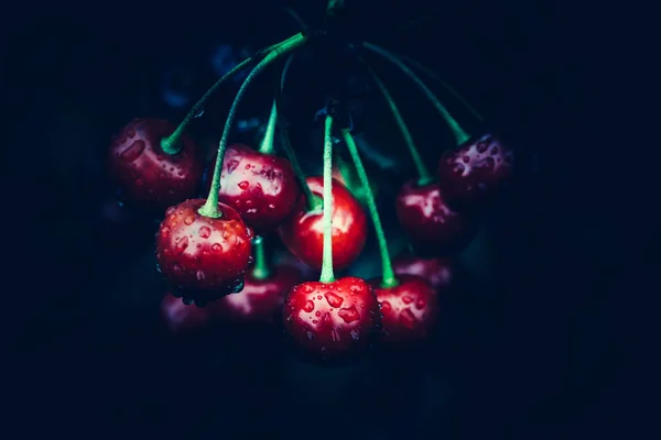 深色黑色背景上的红樱桃特写图 — 图库照片
