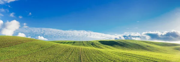 Green Field Blue Sky Clouds Summer Day Agriculture Environment Banner — Stock Photo, Image