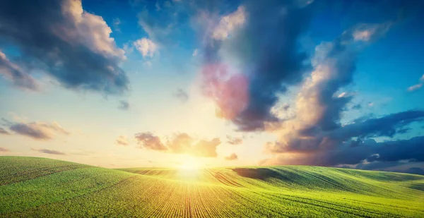 Green Field Landscape Sunset Countryside Natural Landscape — Stock Photo, Image