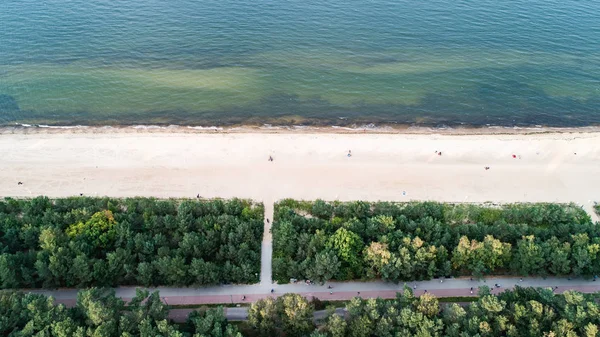 Mar Árvores Verdes Partir Vista Superior Outono Polónia Mar Báltico — Fotografia de Stock