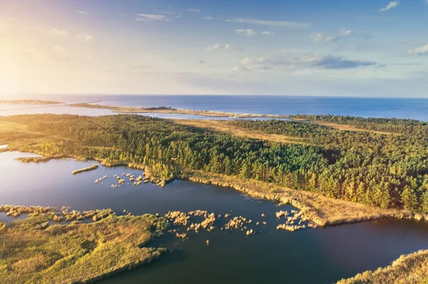 Forest Island Fall Baltic Sea Natural Environment Autumn Season Aerial — Stock Photo, Image
