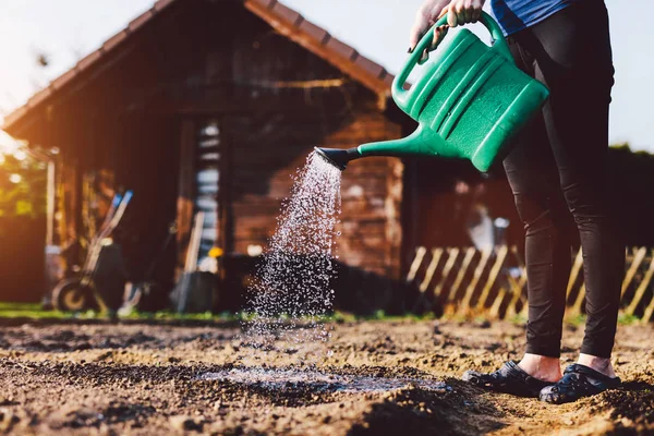 Enge Ansicht Der Frau Die Garten Gießt — Stockfoto