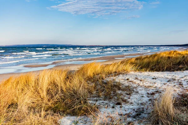 Wavy Baltic Seashore Golden Dune Grass — Stock Photo, Image