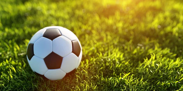 Futbol Çimlerin Üzerinde Futbol Topu Sancak Bileşimi — Stok fotoğraf