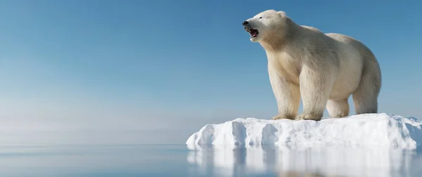 Polar Bear Ice Floe Melting Iceberg Global Warming Climate Change — Stock Photo, Image