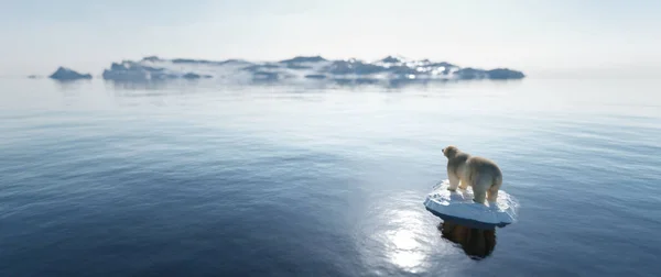 Niedźwiedź Polarny Krze Lodowej Topniejąca Góra Lodowa Globalne Ocieplenie Zmiany — Zdjęcie stockowe