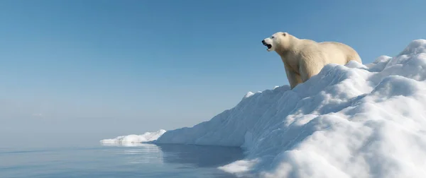 Ledový Medvěd Ledovci Tající Led Globální Oteplování Změna Klimatu — Stock fotografie