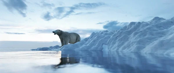 Ledový Medvěd Ledovci Tající Led Globální Oteplování Změna Klimatu — Stock fotografie