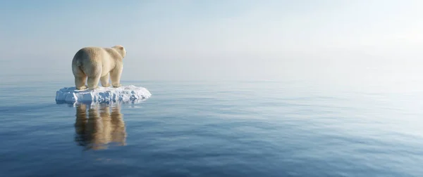 北极熊在浮冰上 融化的冰山和全球变暖 气候变化 — 图库照片