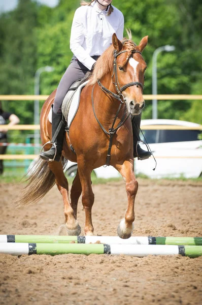 Opleiding in Paardrijden, instap. Cavaletti op een draf — Stockfoto
