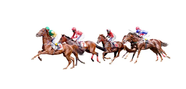 Cinco Jokey em um cavalo puro-sangue corre isolado no fundo branco — Fotografia de Stock