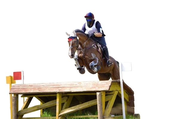 Eventing: jinete ecuestre saltando sobre un obstáculo de una cerca de pincel —  Fotos de Stock