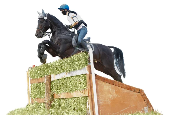 Concours complet : cavalier équestre sautant par-dessus un obstacle de clôture de brosse — Photo