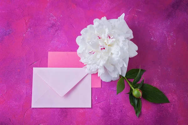 Sobres Rosados Con Hermosa Flor Peonía Amor Está Aire —  Fotos de Stock