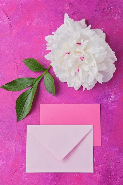 Pink Envelopes Beautiful Peony Flower Love Air — Stock Photo, Image