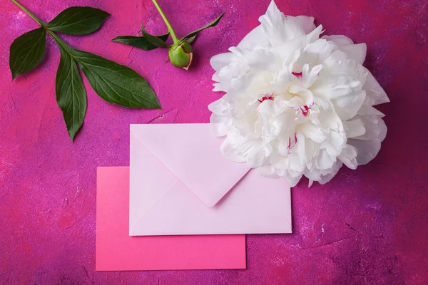 Pink Envelopes Beautiful Peony Flower Love Air — Stock Photo, Image