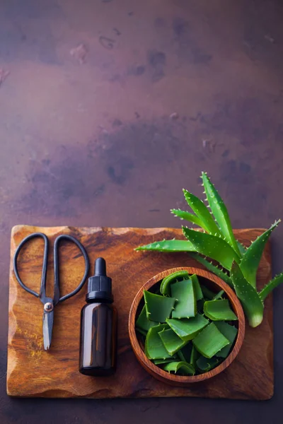 Butelka Olejku Aloe Vera Świeżego Aloesu Koncepcja Leczenie Uroda — Zdjęcie stockowe