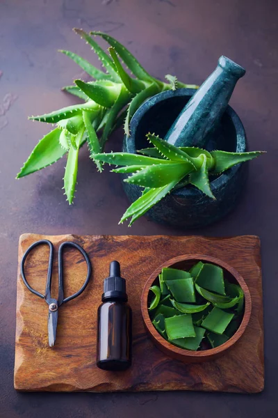 Butelka Olejku Aloe Vera Świeżego Aloesu Koncepcja Leczenie Uroda — Zdjęcie stockowe
