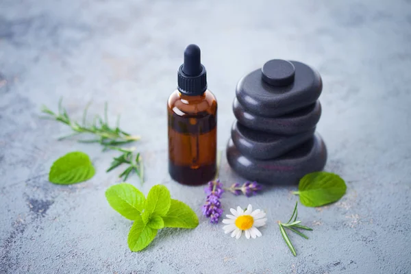 Aceite Aromaterapia Con Hierbas Flores Frescas Medicina Alternativa — Foto de Stock
