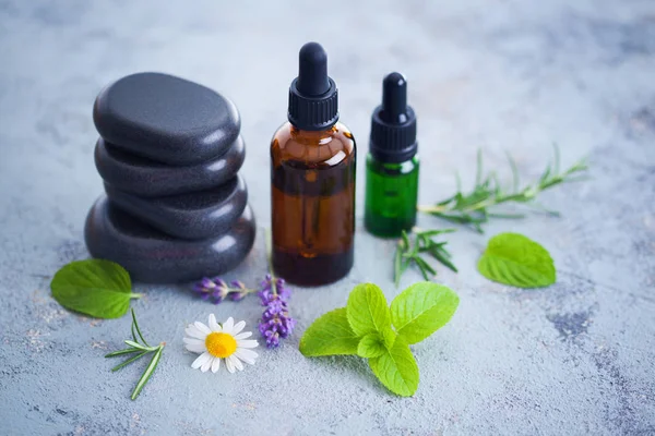 Aromatherapy Oil Fresh Herbs Flowers Alternative Medicine — Stock Photo, Image