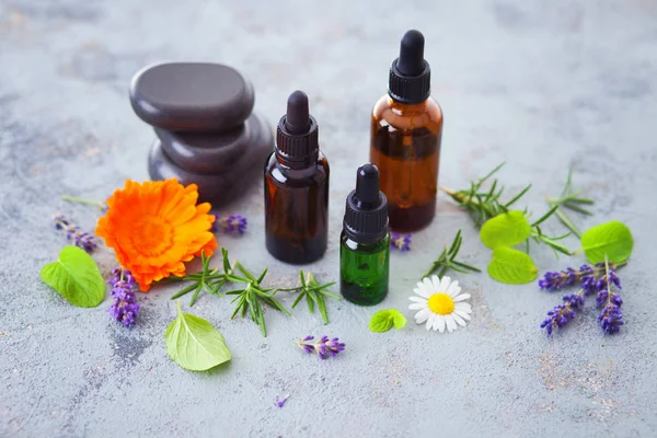 Aromterapi Olja Med Färska Örter Och Blommor Alternativmedicin — Stockfoto