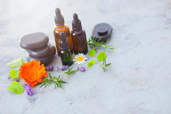 Aromatherapy Oil Fresh Herbs Flowers Alternative Medicine — Stock Photo, Image
