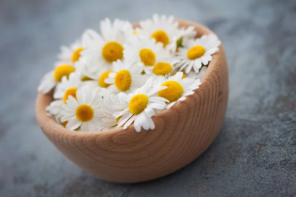 Ξύλινο Μπολ Λευκό Χαμομήλι Λουλούδια Γκρίζο Φόντο Βοτανική Ιατρική Έννοια — Φωτογραφία Αρχείου