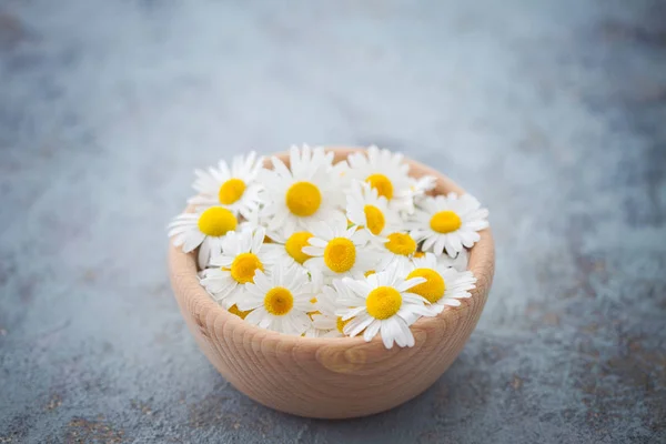 Ξύλινο Μπολ Λευκό Χαμομήλι Άνθη Φυτοθεραπεία Έννοια — Φωτογραφία Αρχείου