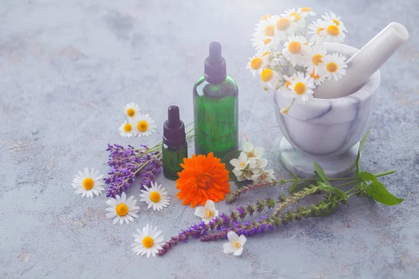 Aromaterápiás Olaj Mozsárban Megtör Chamomiles Alternatív Gyógyászat Fogalmát Palackok — Stock Fotó