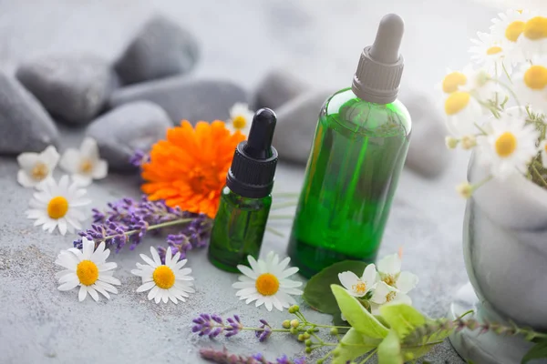 Aromaterapi Yağ Çiçeklerle Otlar Alternatif Tıp Kavramı Ile Iki Şişe — Stok fotoğraf