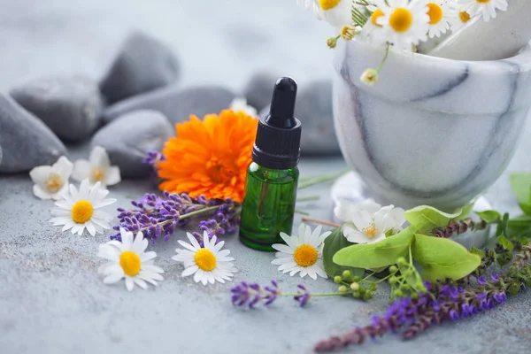 Aromaterápiás Olaj Friss Fűszernövények Virágok Alternatív Gyógyászat Fogalmát Üveg — Stock Fotó