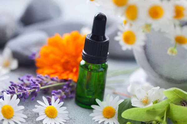 Garrafa Com Óleo Aromaterapia Ervas Flores Frescas Conceito Medicina Alternativa — Fotografia de Stock
