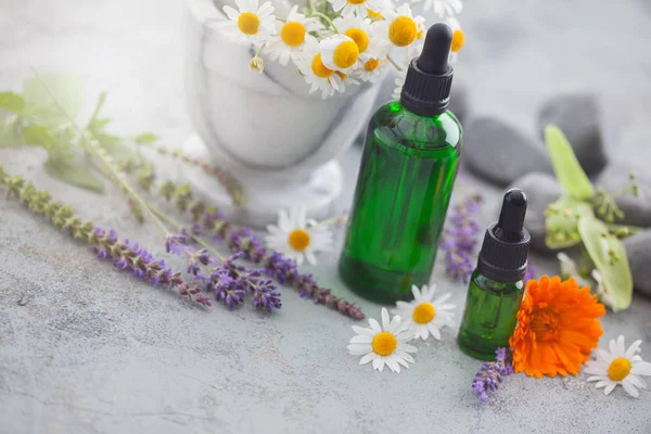 Zwei Flaschen Mit Aromatherapie Und Blumen Mit Kräutern Konzept Der — Stockfoto