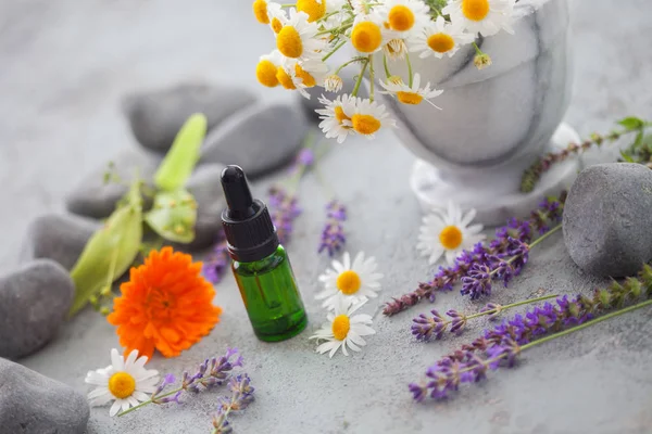 Garrafa Com Óleo Aromaterapia Ervas Flores Frescas Conceito Medicina Alternativa — Fotografia de Stock