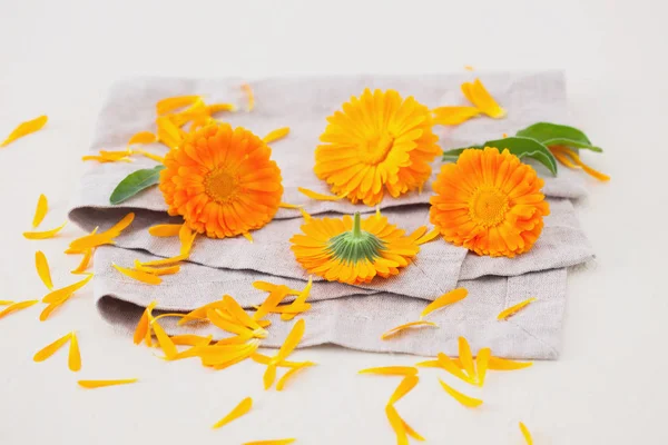 Fiori Calendula Piante Con Tessuto Lino Isolato Sfondo Bianco — Foto Stock