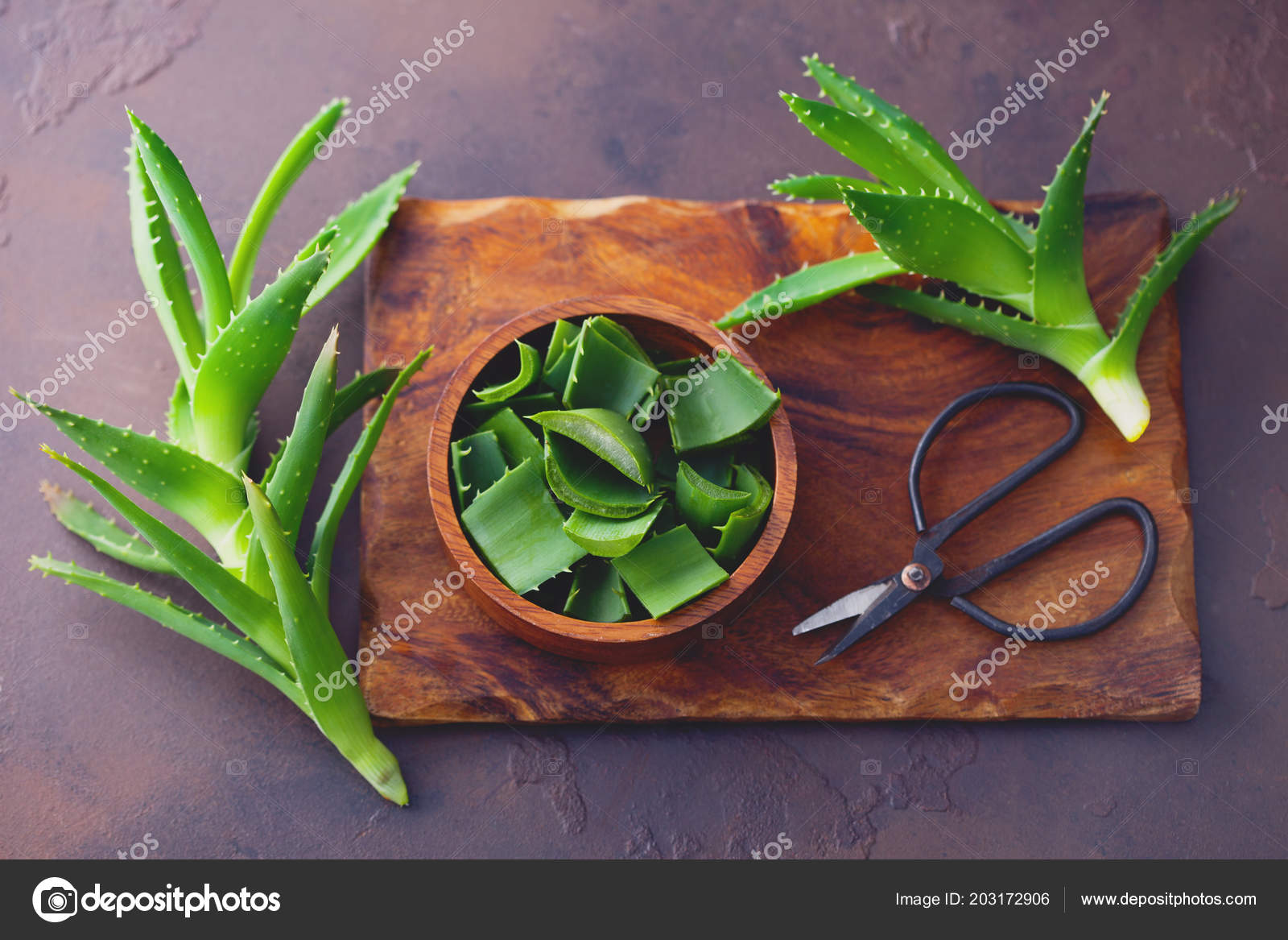 Aloe Vera Leaves Bowl Wooden Cutting Board Alternative Medicine