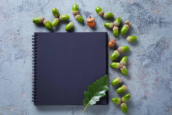 Schwarzes Notizbuch Und Grüne Eicheln Mit Blatt Auf Grauem Hintergrund — Stockfoto