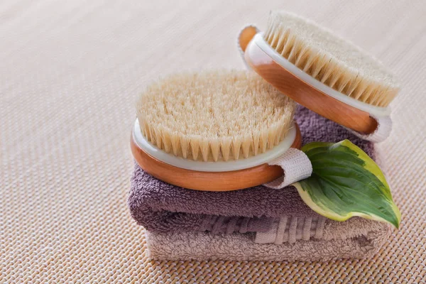 Zwei Bürsten Für Trockene Körpermassage Auf Handtüchern Und Grünem Blatt — Stockfoto